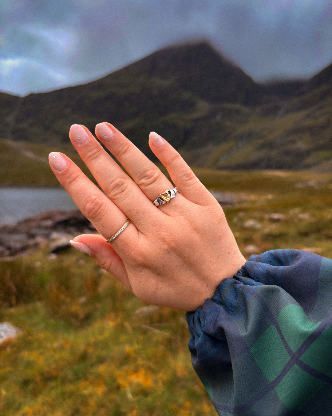 Two-Tone Fenian Harp Claddagh